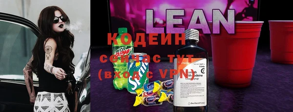 шишки Вязники