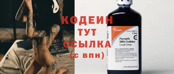 шишки Вязники