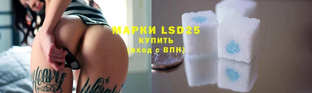 шишки Вязники