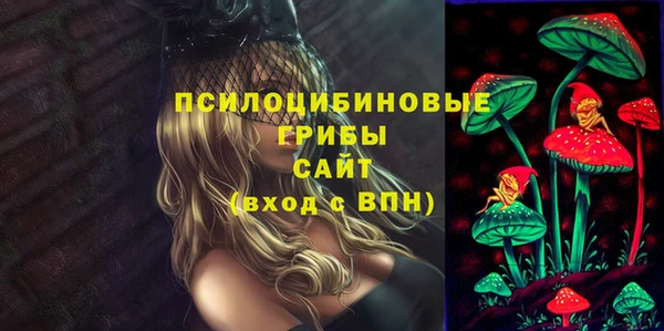 шишки Вязники