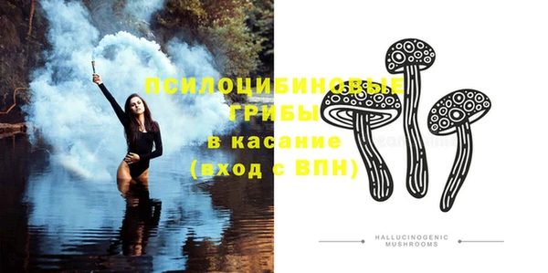шишки Вязники