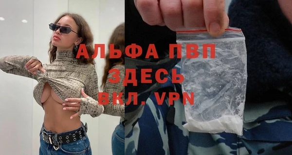 шишки Вязники