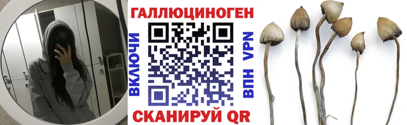 Псилоцибиновые грибы Psilocybe  хочу наркоту  Сургут 